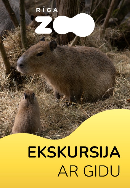 Rīga ZOO atvērtā ekskursija