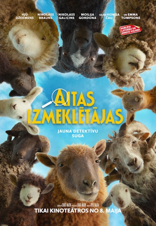 Aitas izmeklētājas