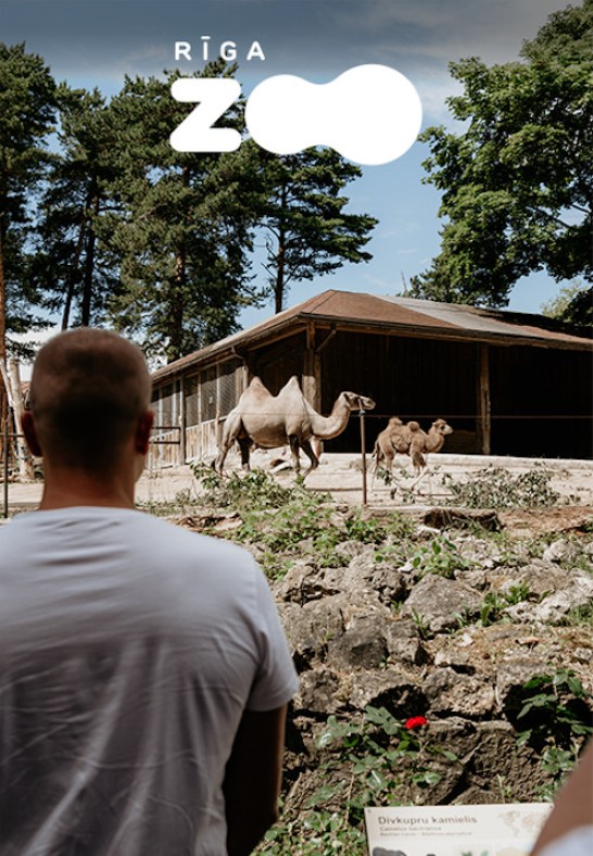 Rīgas Nacionālais zooloģiskais dārzs apmeklējums - Vasaras sezona (No 1.05.26 līdz 11.10.26.)